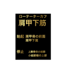 筋肉②（個別スタンプ：1）