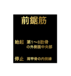 筋肉②（個別スタンプ：3）
