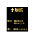 筋肉②（個別スタンプ：4）