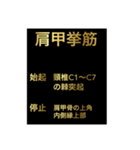 筋肉②（個別スタンプ：5）