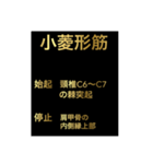 筋肉②（個別スタンプ：7）