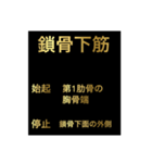 筋肉②（個別スタンプ：8）