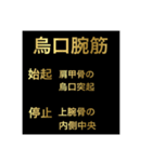 筋肉①（個別スタンプ：4）