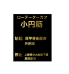 筋肉①（個別スタンプ：6）