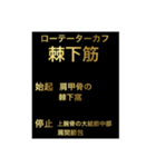 筋肉①（個別スタンプ：8）