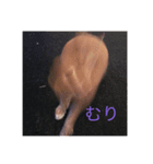 ウルクスス（個別スタンプ：3）