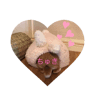 ウルクスス（個別スタンプ：8）