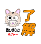 猫顔表情デカモジ言葉（個別スタンプ：11）