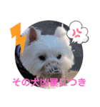 フロレベすたんぷver15（個別スタンプ：3）