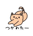 ぱびねこの会話（個別スタンプ：4）