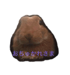 ウルクスス2（個別スタンプ：1）