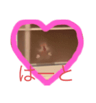 ウルクスス2（個別スタンプ：3）