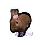 ウルクスス2（個別スタンプ：8）