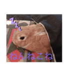 ウルクスス2（個別スタンプ：12）