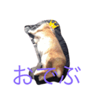 ウルクスス2（個別スタンプ：15）