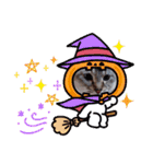 ねこスタンプ (リボン2)（個別スタンプ：34）