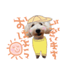 冬から春にかけて使いたい犬のスタンプ！（個別スタンプ：19）