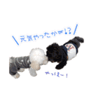 冬から春にかけて使いたい犬のスタンプ！（個別スタンプ：34）