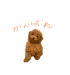 さん太くん（個別スタンプ：5）