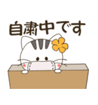 アロハ～♪この猫、鼻でかぁーーー！（個別スタンプ：19）