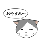 猫タクと吹き出し（個別スタンプ：3）