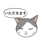 猫タクと吹き出し（個別スタンプ：7）