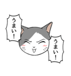 猫タクと吹き出し（個別スタンプ：10）