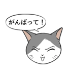 猫タクと吹き出し（個別スタンプ：15）