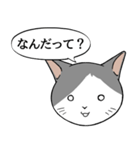 猫タクと吹き出し（個別スタンプ：17）