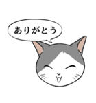 猫タクと吹き出し（個別スタンプ：22）