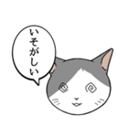 猫タクと吹き出し（個別スタンプ：24）