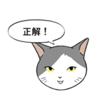 猫タクと吹き出し（個別スタンプ：28）