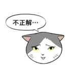 猫タクと吹き出し（個別スタンプ：29）