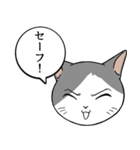 猫タクと吹き出し（個別スタンプ：32）