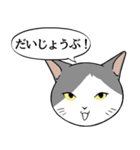 猫タクと吹き出し（個別スタンプ：34）