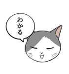 猫タクと吹き出し（個別スタンプ：35）