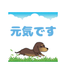 激しく尻尾をふって飛び出す犬（個別スタンプ：6）