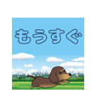 激しく尻尾をふって飛び出す犬（個別スタンプ：23）