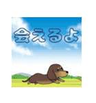 激しく尻尾をふって飛び出す犬（個別スタンプ：24）