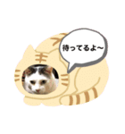 ぴー助じーさんスタンプ（個別スタンプ：4）