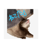 みーたん専用だお（個別スタンプ：2）