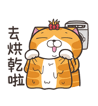 ランラン猫 24 (台湾版)（個別スタンプ：11）