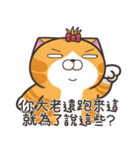 ランラン猫 24 (台湾版)（個別スタンプ：13）
