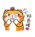ランラン猫 24 (台湾版)（個別スタンプ：20）