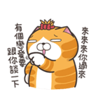 ランラン猫 24 (台湾版)（個別スタンプ：21）