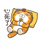 ランラン猫 24 (台湾版)（個別スタンプ：28）