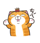 ランラン猫 24 (台湾版)（個別スタンプ：33）
