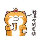 ランラン猫 24 (台湾版)（個別スタンプ：35）