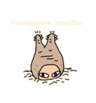パキポキワールド0（個別スタンプ：5）