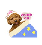 トイプードルのつむぎ2（個別スタンプ：5）